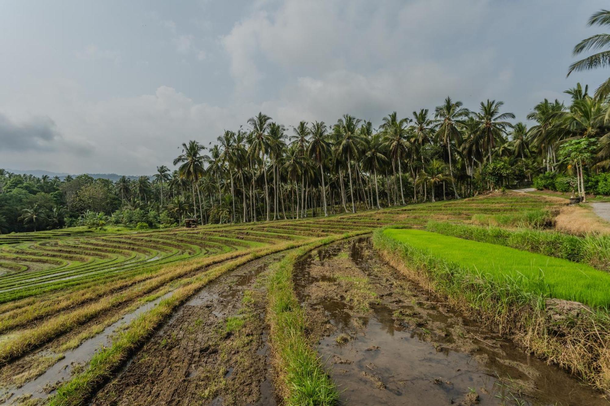 Pondok Hari Baik Balian Экстерьер фото